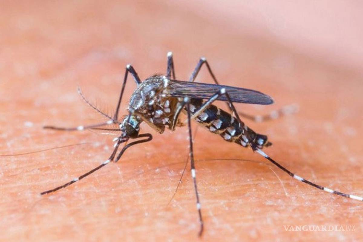 La Ssa lanza llamado por virus de Zika