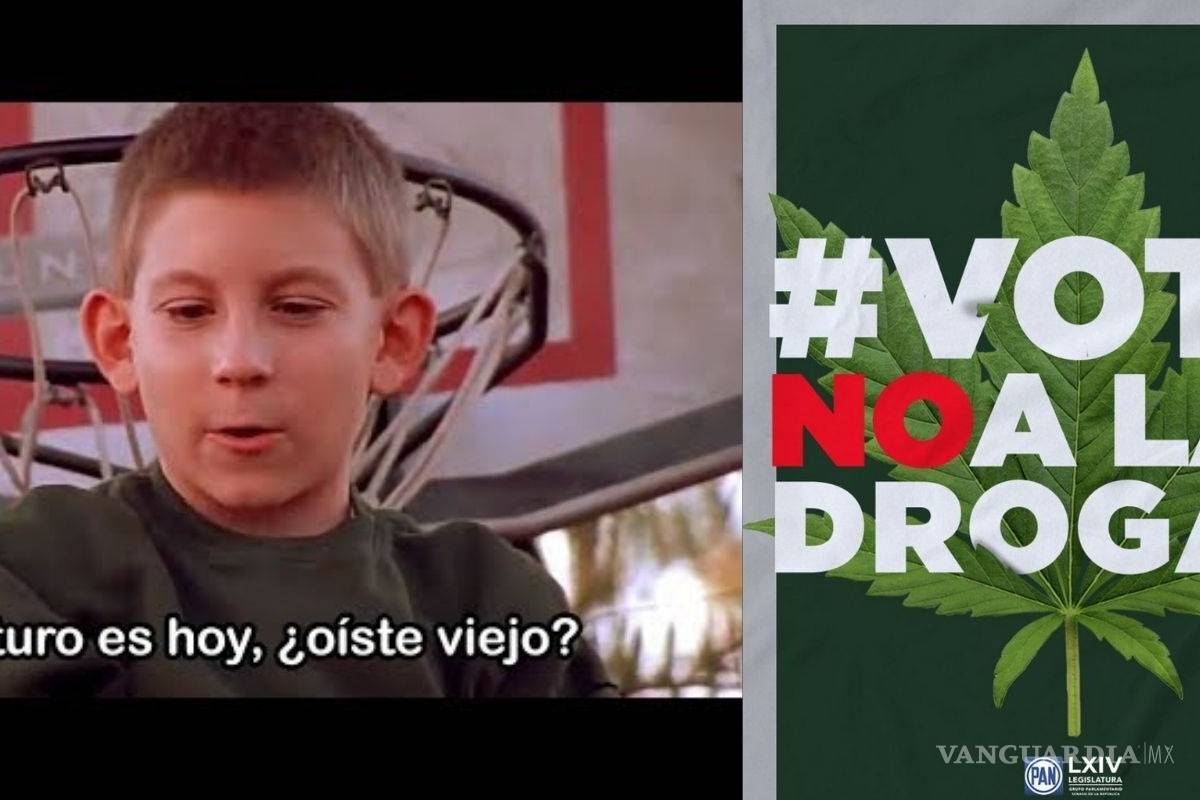 Senadores del PAN se 'espantan' tras legalización de marihuana en México y usuarios los bullean