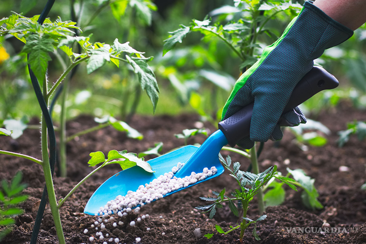 Fertilizantes se encarecerán 13% por guerra en Ucrania, alimentos sufrirían impacto, advierte la FAO