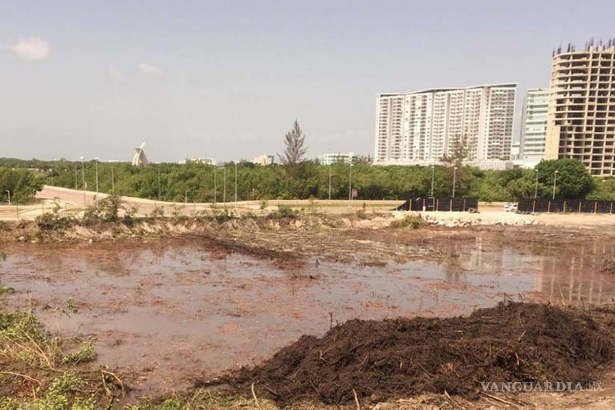 Zona del Malecón de Tajamar no sirve para construcciones: biólogo