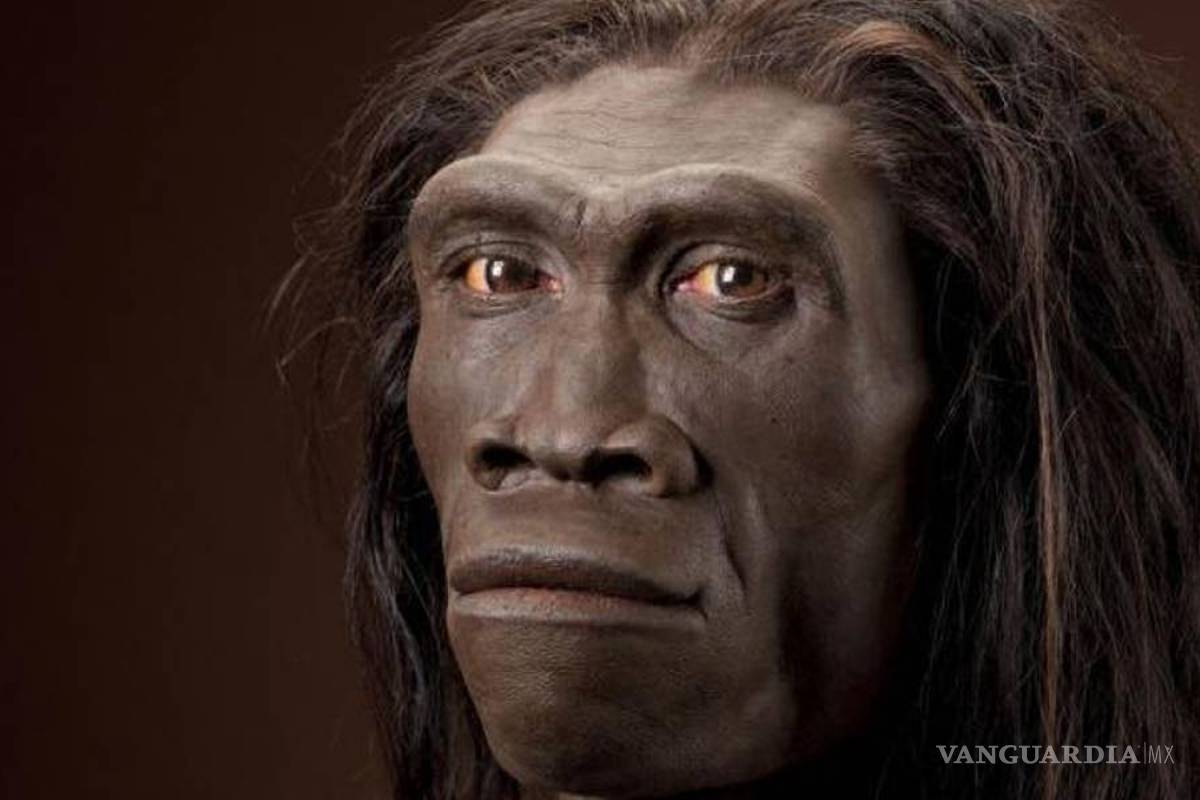 La pereza mata; el Homo erectus pudo extinguirse al regirse por la ley del menor esfuerzo