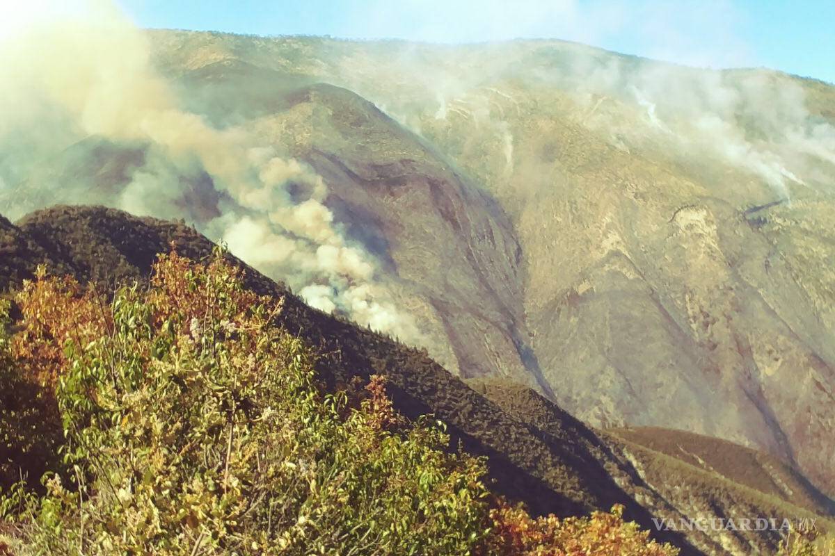 Activo incendio de Mesa de las Tablas; se han consumido 200 hectáreas