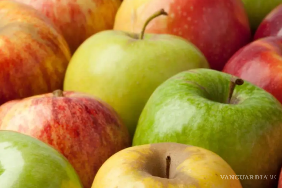 Productores de manzana de Arteaga aceptan la propuesta de ruta comercial con Argentina