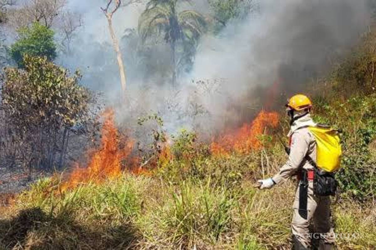 Detenidos 3 posibles responsables de incendio del Amazonas en Brasil