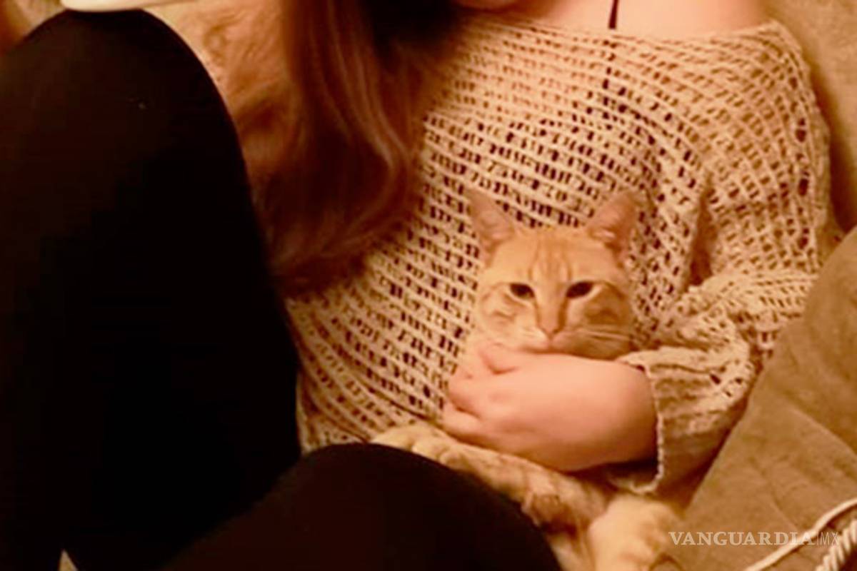 Animales de compañía ayudan a enfrentar mejor trastornos mentales