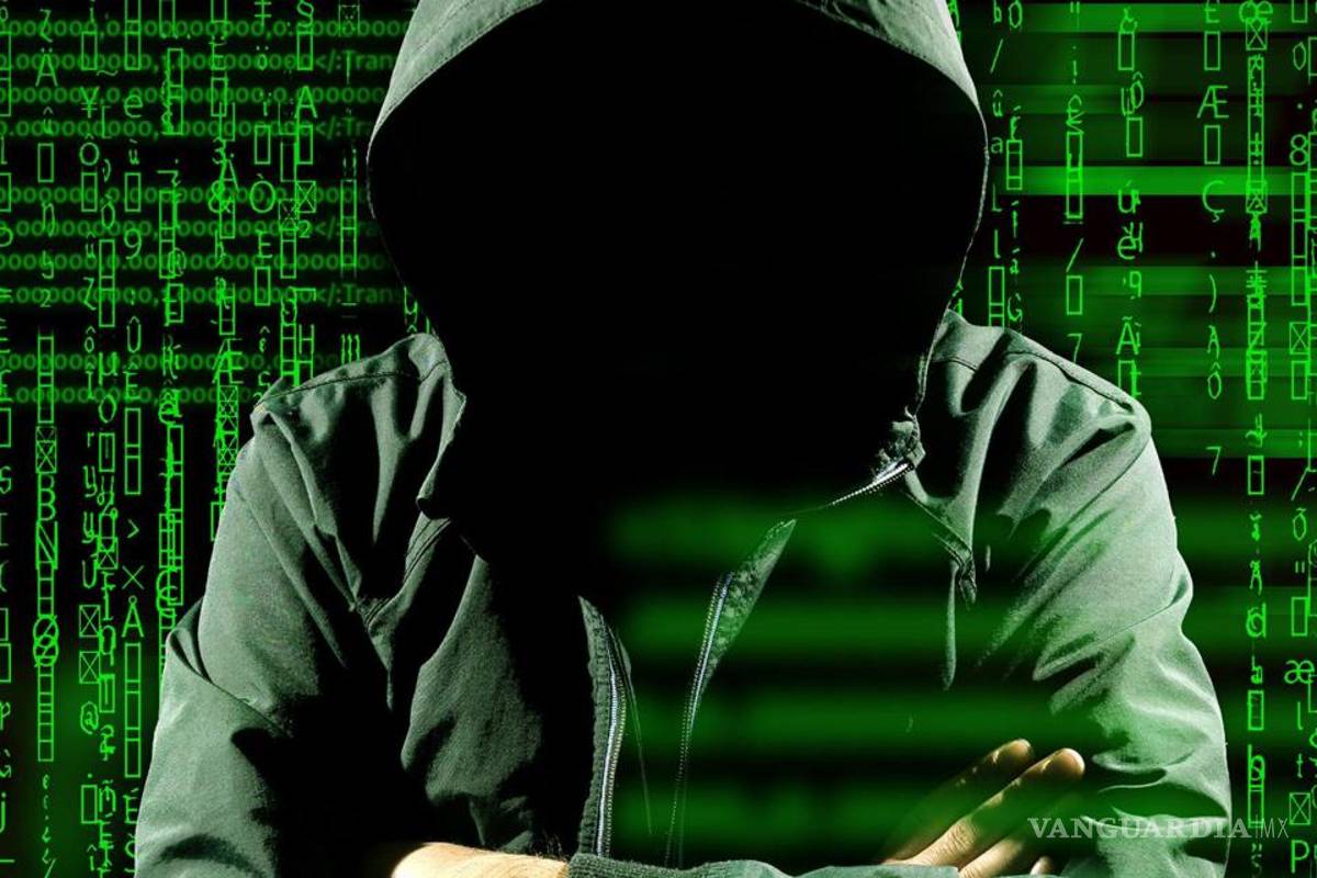 Expertos piden órgano federal para hacerle frente a hackers