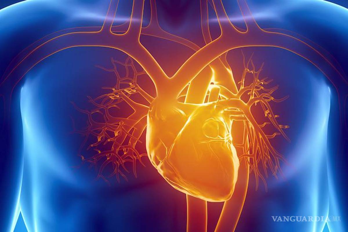 Vacuna “Moderna” en análisis; estiman que puede provocar miocarditis