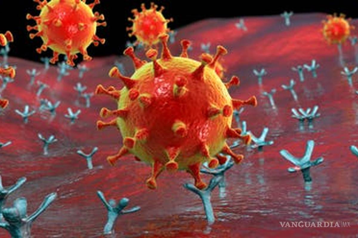 Científicos identifican moléculas que frenan la entrada del COVID-19 en células
