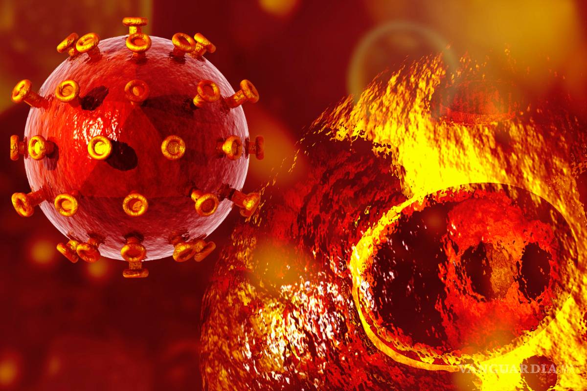 Un fármaco para el alcoholismo podría curar el VIH