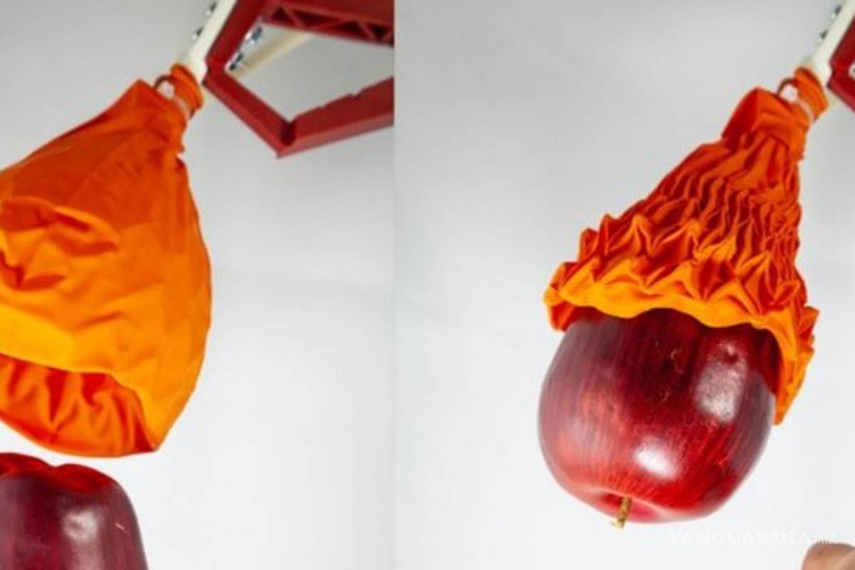 ¡Increíble! &quot;Robot de origami&quot; puede levantar hasta 100 veces su peso