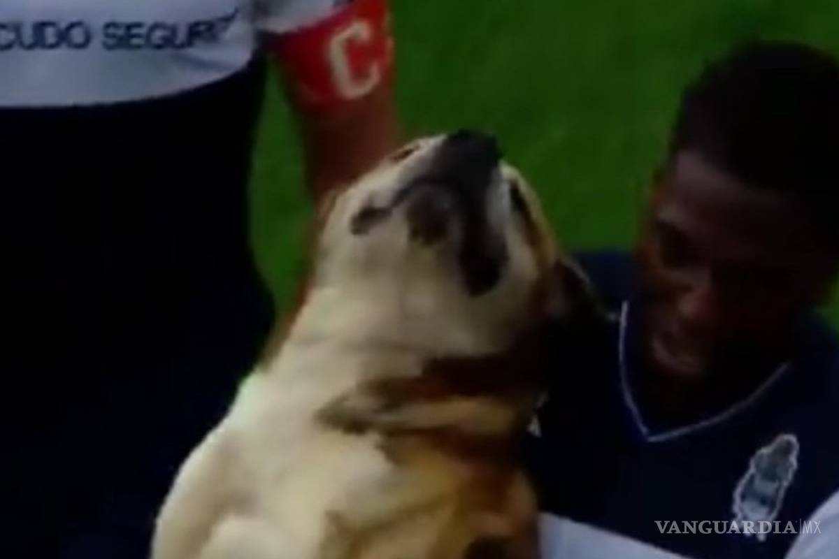 Perro interrumpe partido de futbol...para que lo acaricien