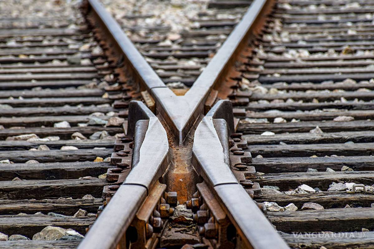 Consulta para el Tren Maya será igual a la del NAIM