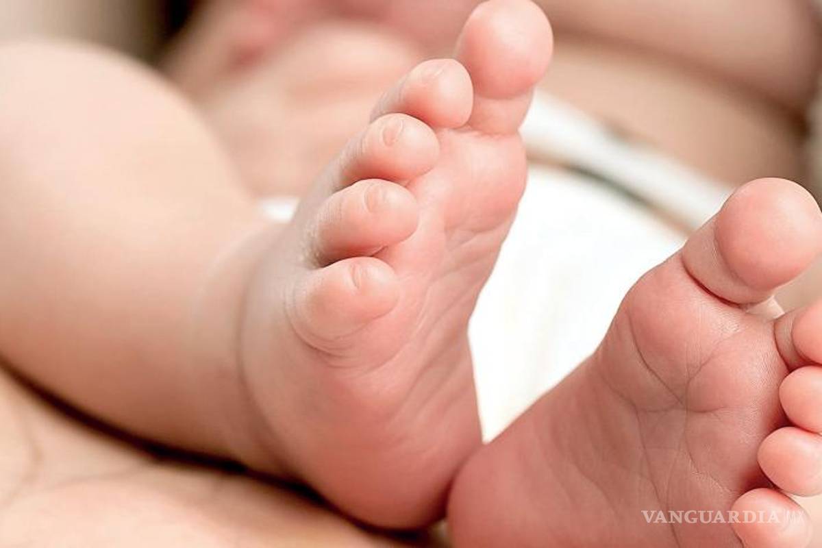 Mujer que escondió los cuerpos de cinco bebés en un congelador va a juicio en Francia