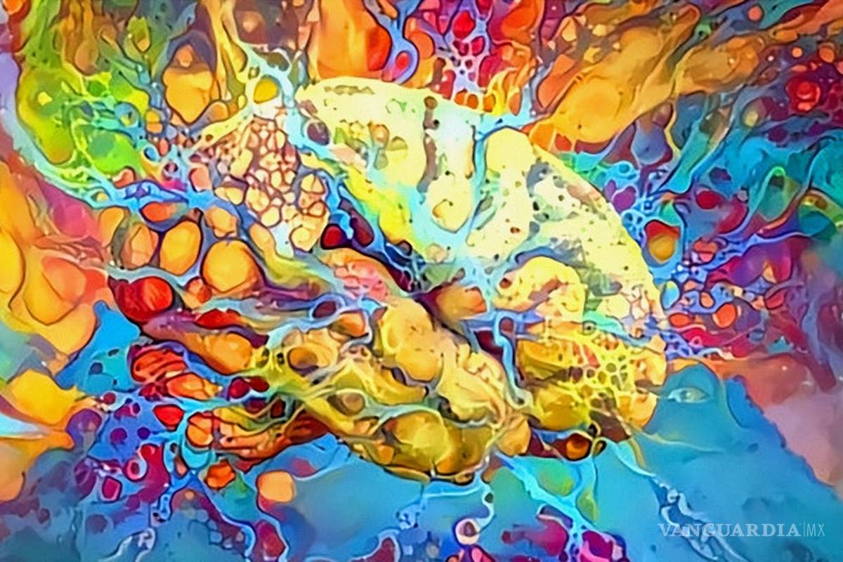 Estudio científico explica por qué un viaje de DMT es una realidad alternativa