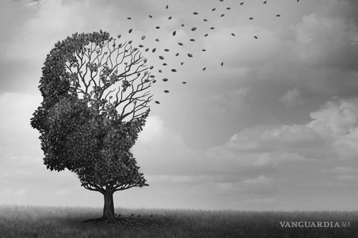 Actividad neuronal durante el sueño puede ayudar a prevenir el Alzheimer