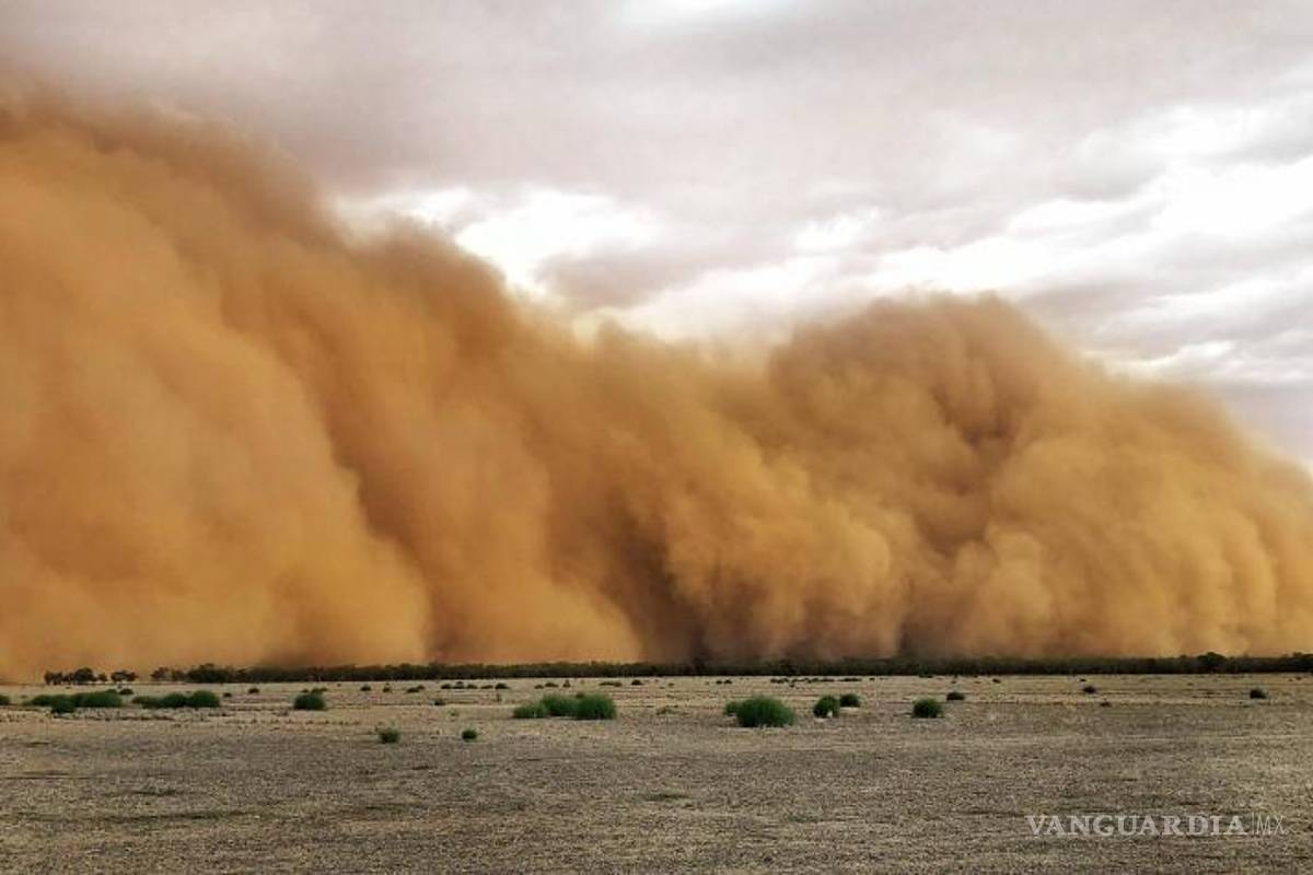 ¿Polvo del Sahara es aliado de la canícula?... causa aumento en temperaturas, disminución de ciclones y poca lluvia en México