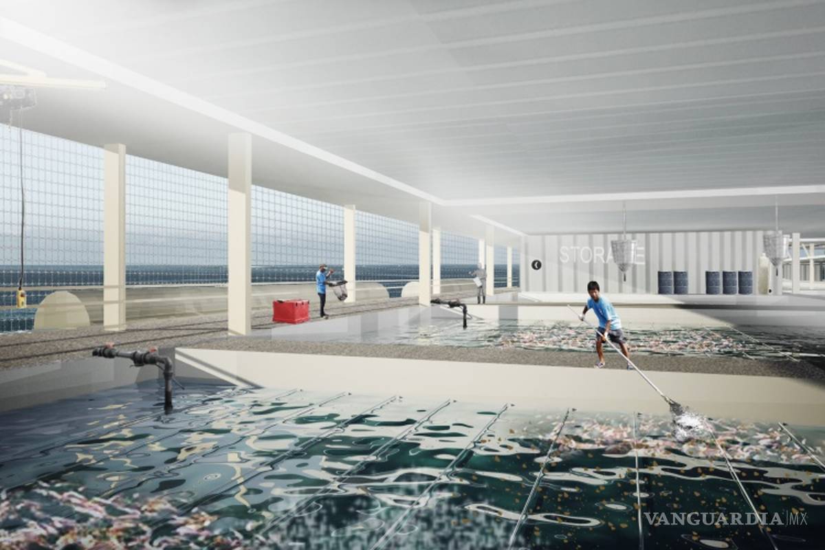 $!¡Granjas que flotan!, abren las puertas a una producción agropecuaria sostenible