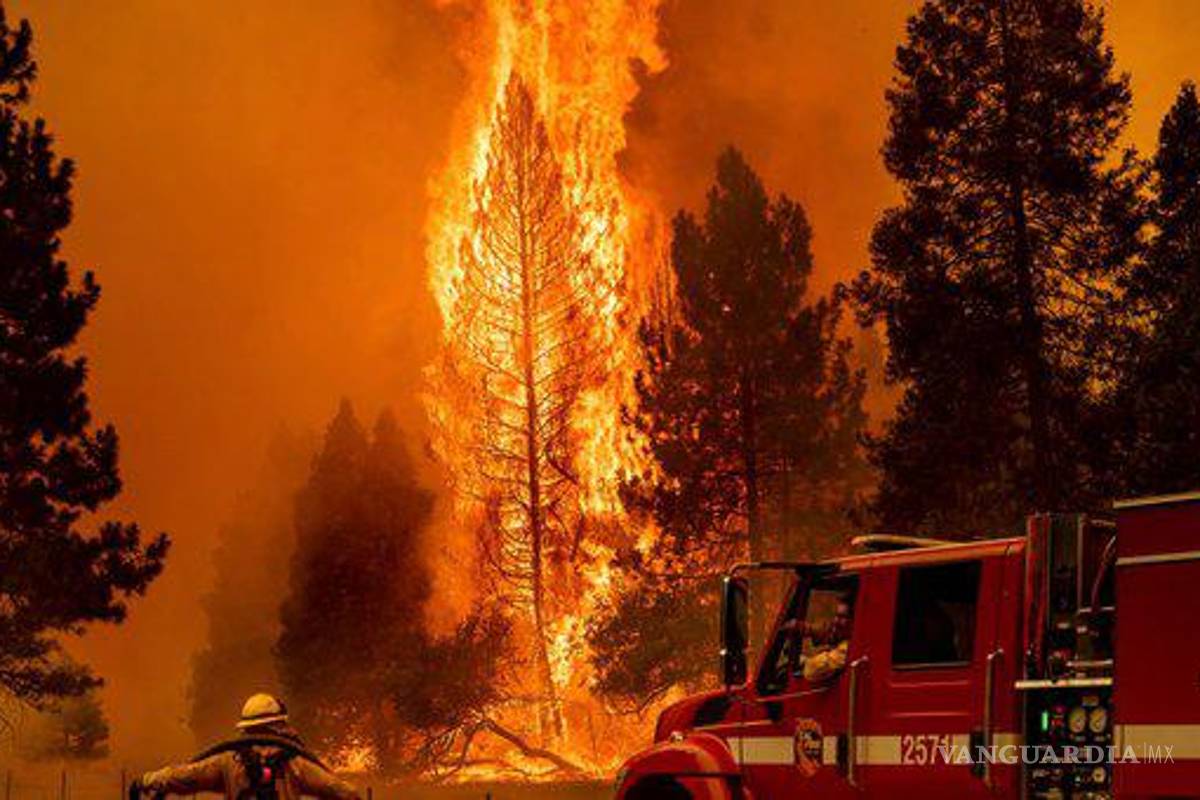 Fuego ya ha arrasado 5 mil 700 hectáreas en California