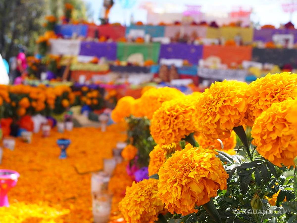 $!18 cosas que tal vez no sabías sobre el Día de Muertos