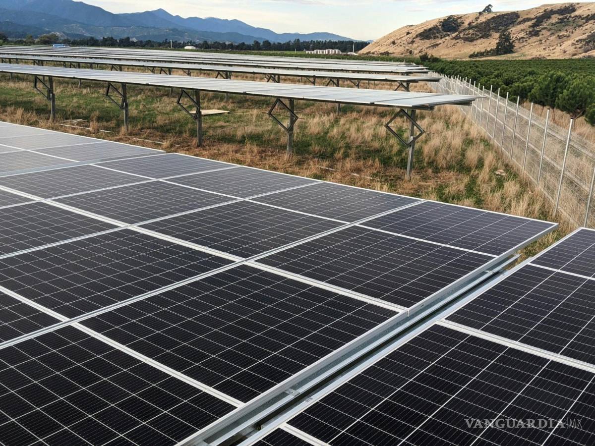$!Existen varias razones importantes por las que debes notificar a la CFE sobre tu instalación de paneles solares.