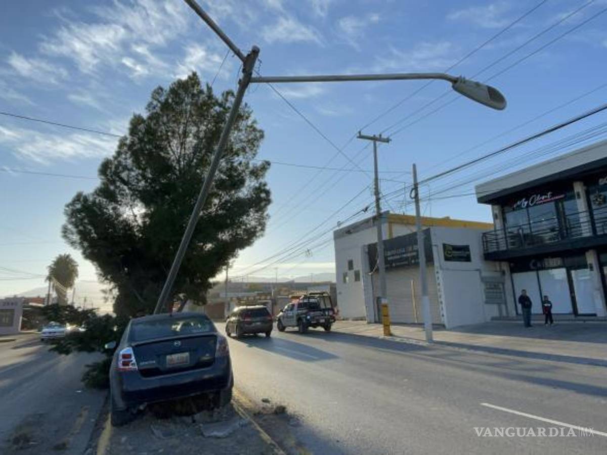$!Árbol y poste resultaron dañados tras el impacto, evidenciando la magnitud del accidente.