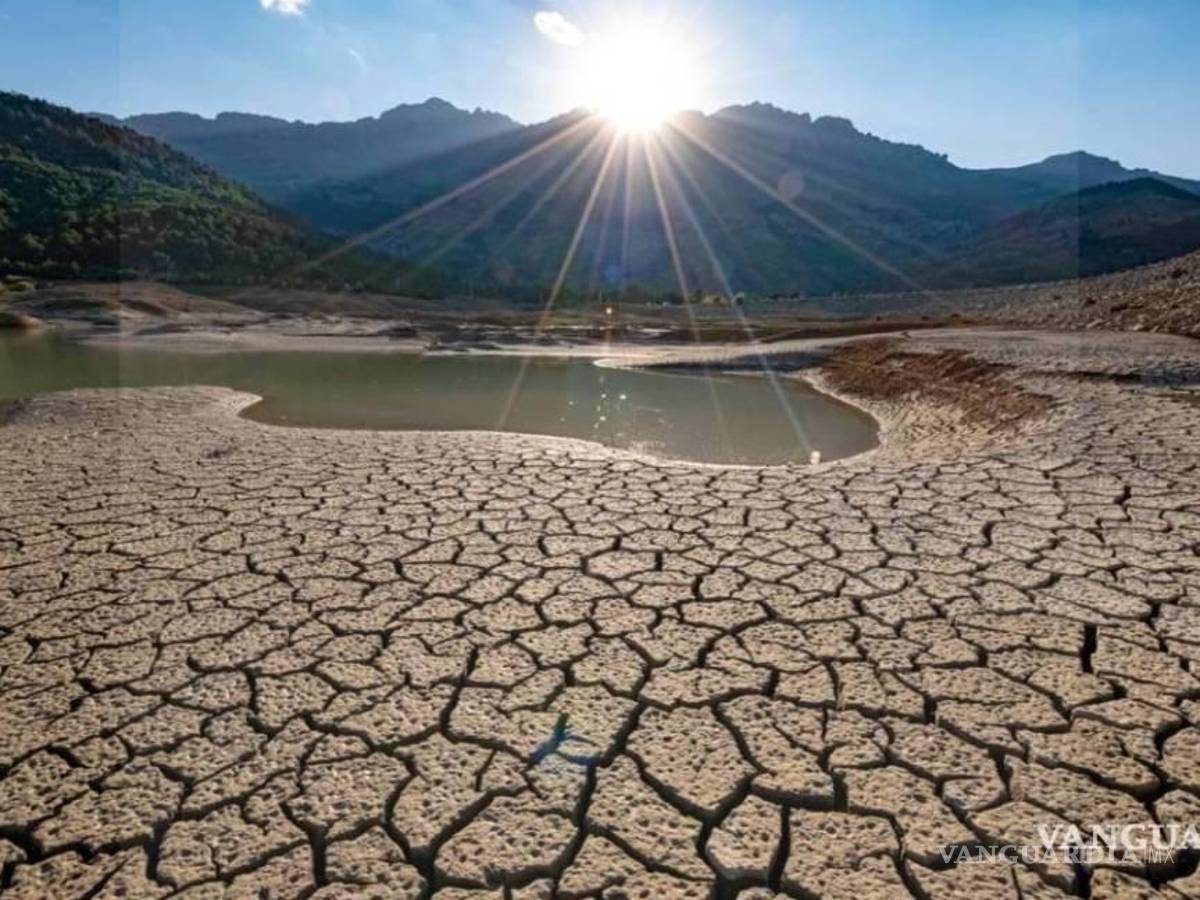 $!Estos índices de sequía han impactado en la actividad agropecuaria del Estado.