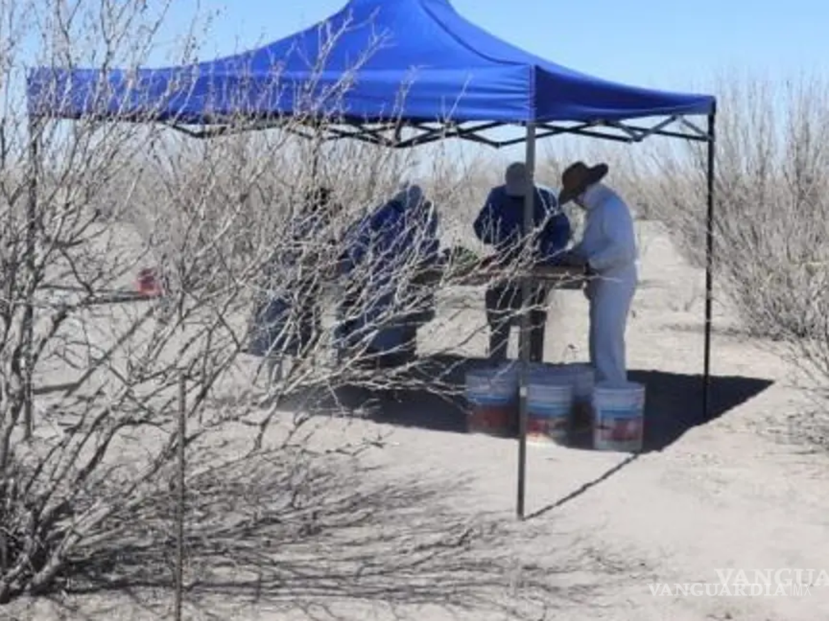 $!En esta zona de San Pedro de las Colonias se han encontrado cientos de restos óseos.