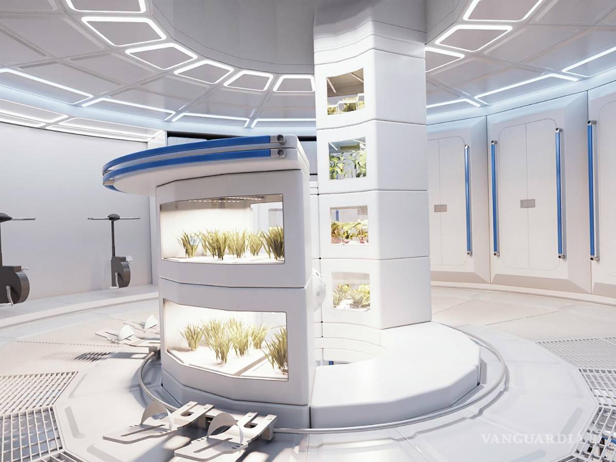 $!Cubierta de vivienda, con túnel e invernadero, del futuro módulo Loop.