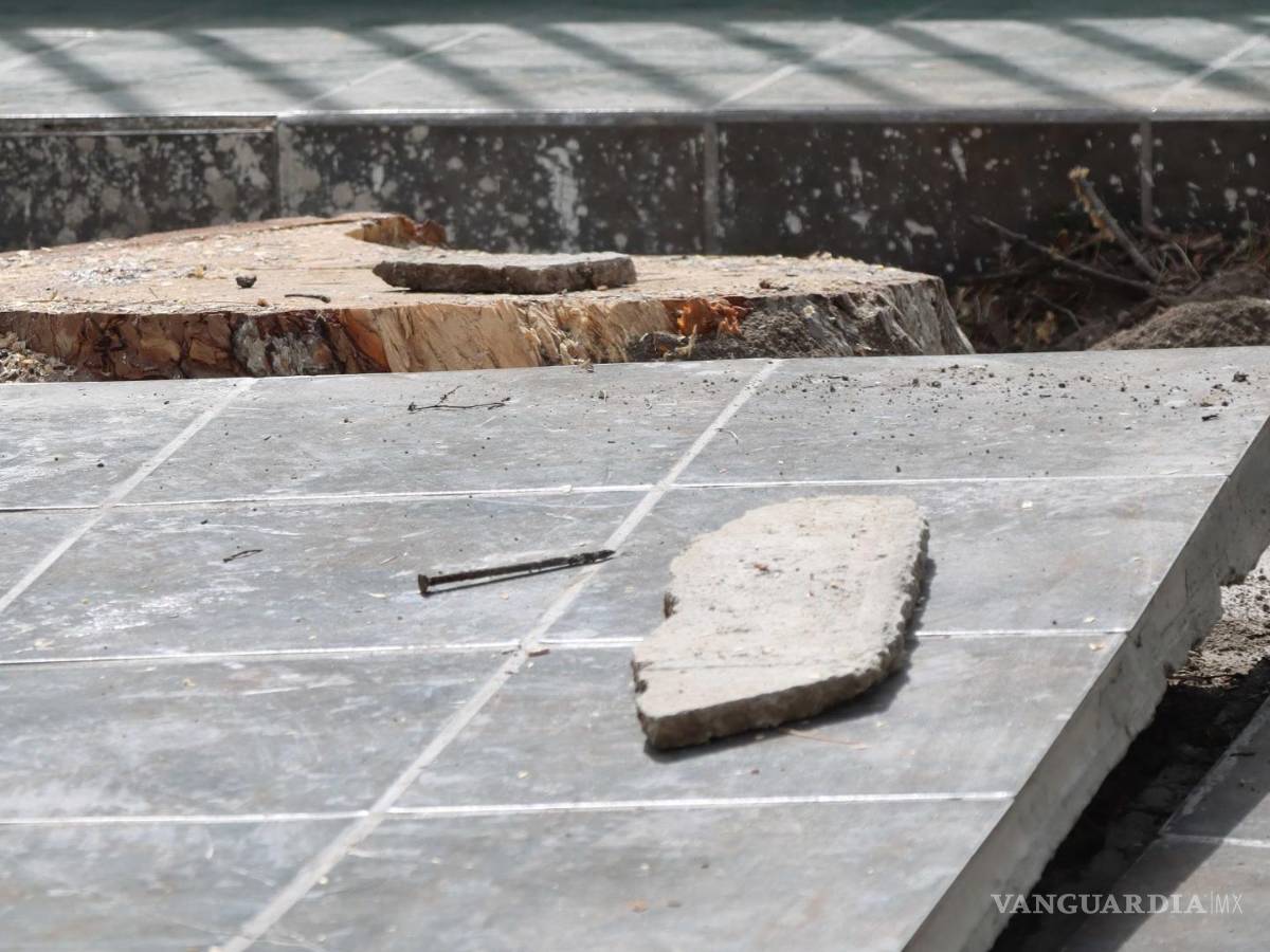 $!Las autoridades escolares reportaron el riesgo y el daño a la Dirección de Medio Ambiente y Desarrollo Sustentable.