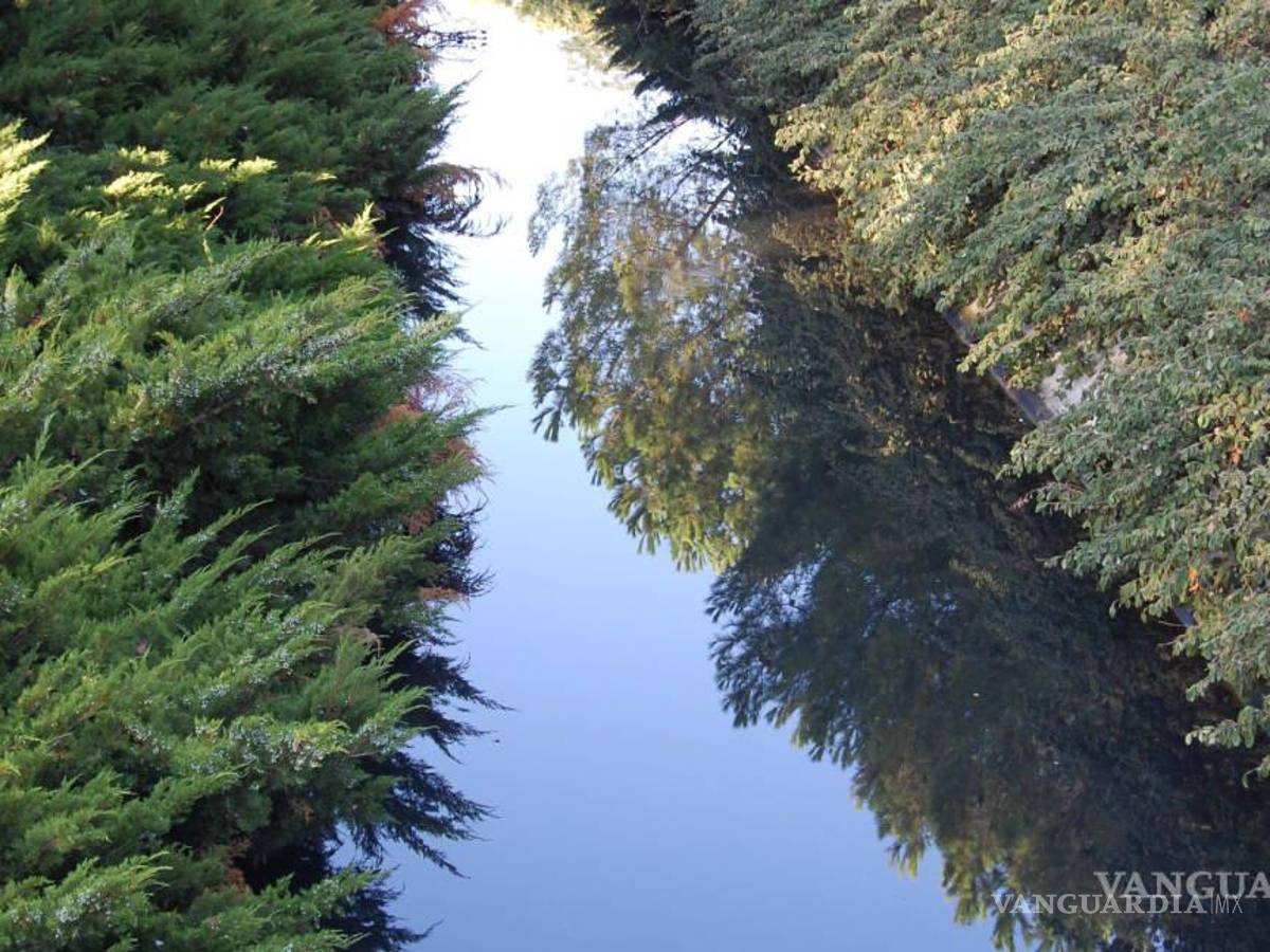 $!La crisis de agua en la Región Sureste puede ser ficticia ante las cifras reportadas.