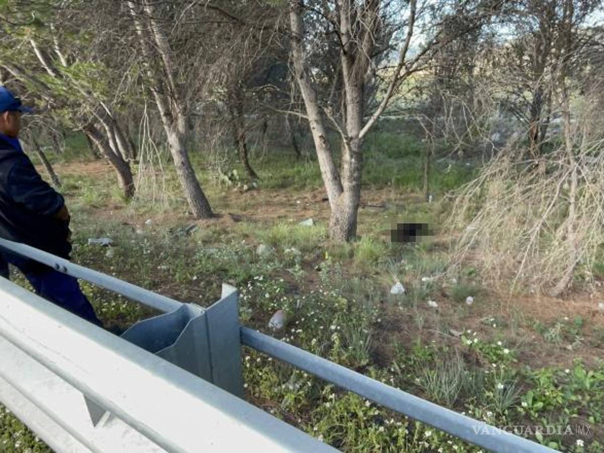 $!Dos empleados de la caseta de cobro llegaron para jalar al osezno occsiso y colocarlo fuera de la vialidad, quienes argumentaron que lo hicieron porque “se veía mal”.