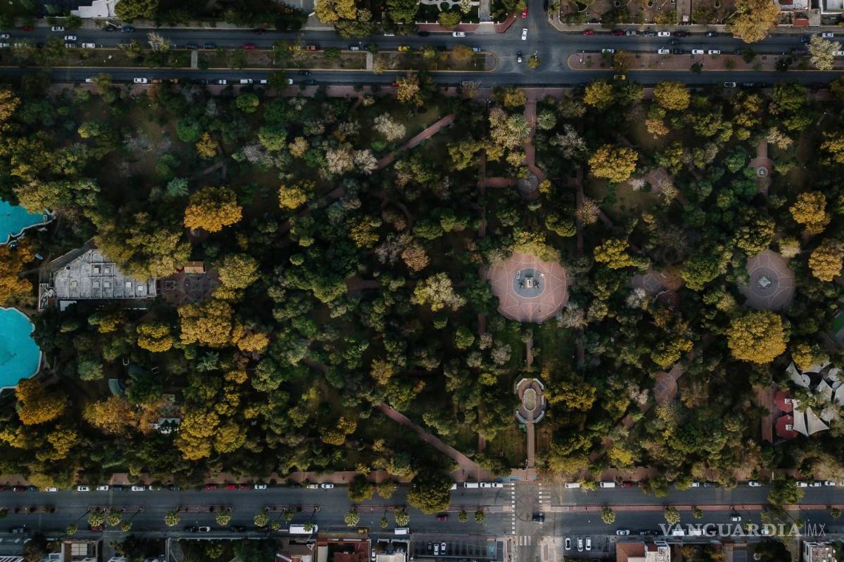 Alameda Zaragoza: el jardín público orgullo de los saltillenses