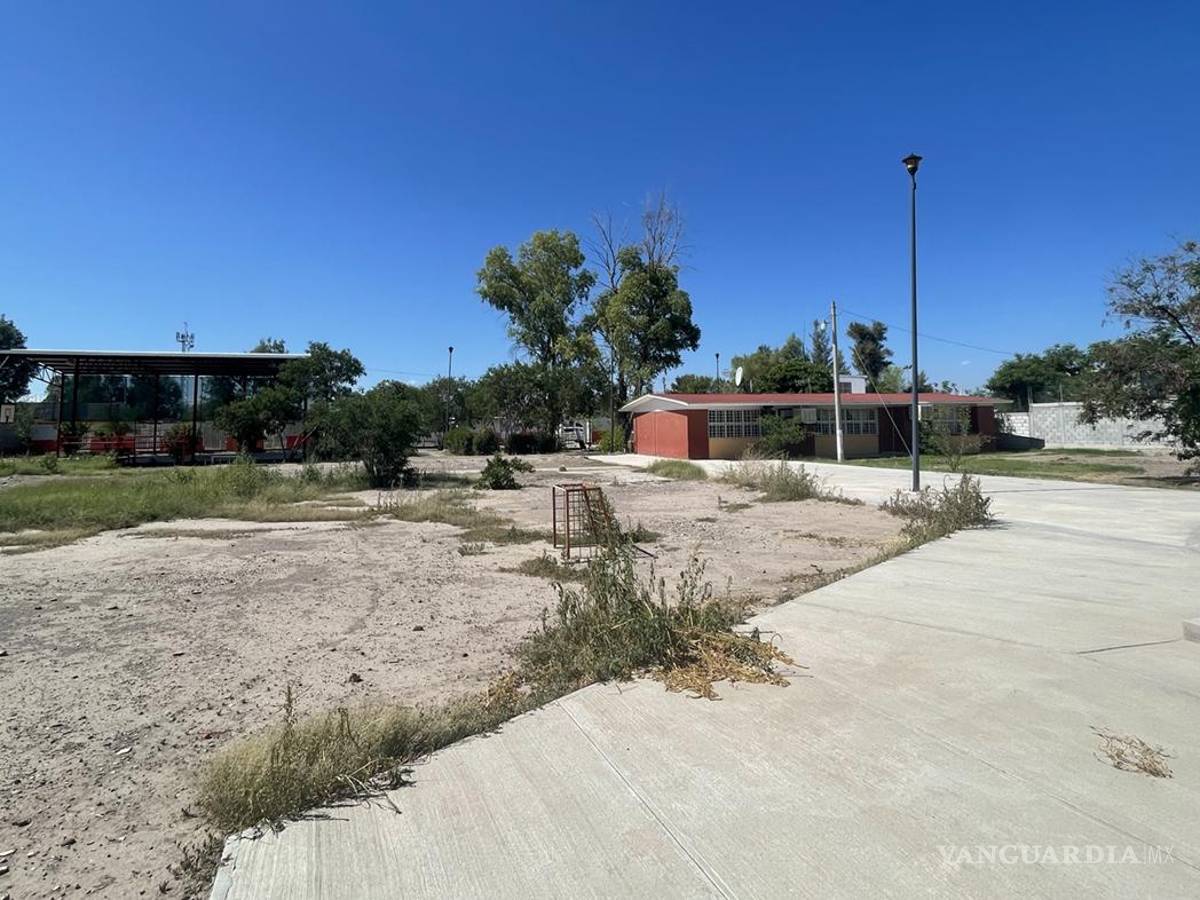 $!Al volver a clases muchas escuelas enfrentaron descuidos como maleza crecida, presencia de fauna y hasta animales muertos.