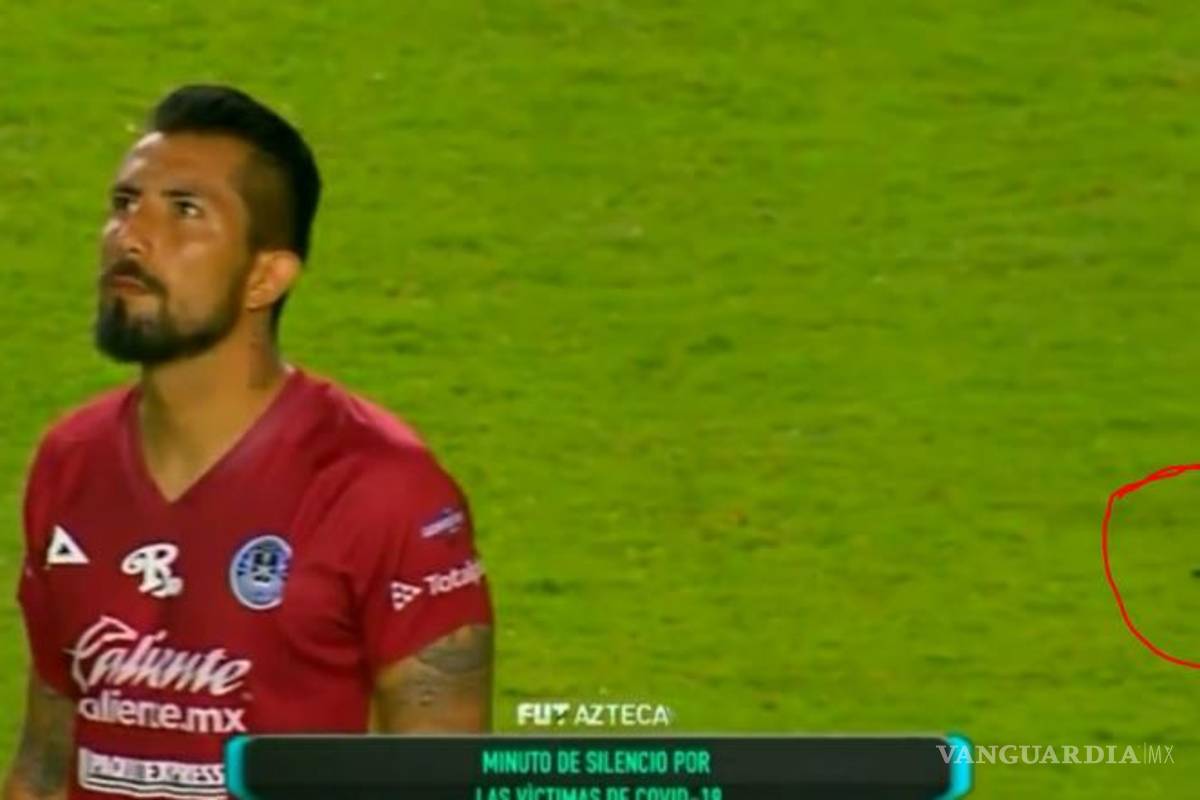 ¿Cucarachas? Aparecen insectos en la cancha de Mazatlán durante su debut en la Liga MX