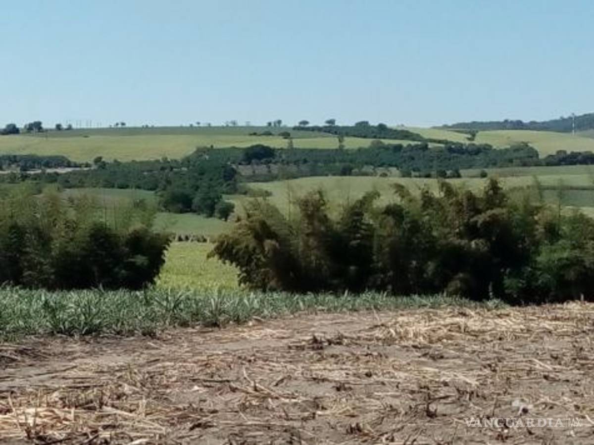 $!Son ya 21 cuerpos encontrados en fosa clandestina de Nayarit