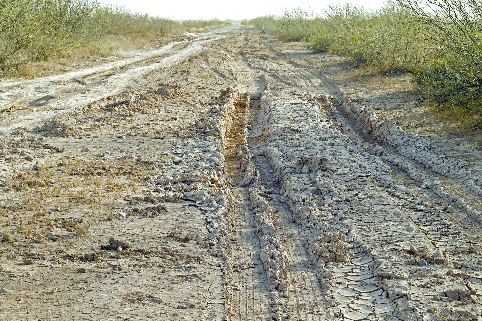 $!¡Auxilio! ¡En un ejido de Coahuila estamos muriendo de sed!