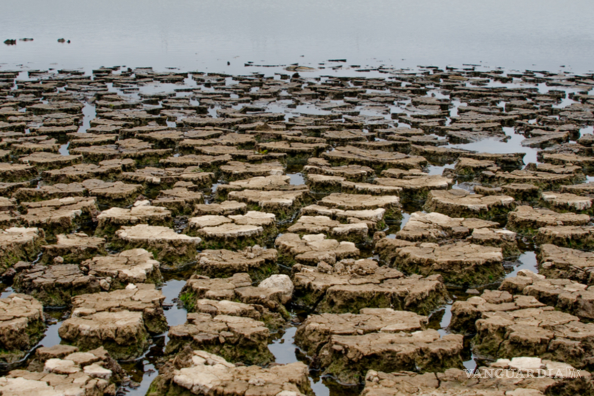 Agua de presas en México cae a niveles históricos, entre la ola de calor