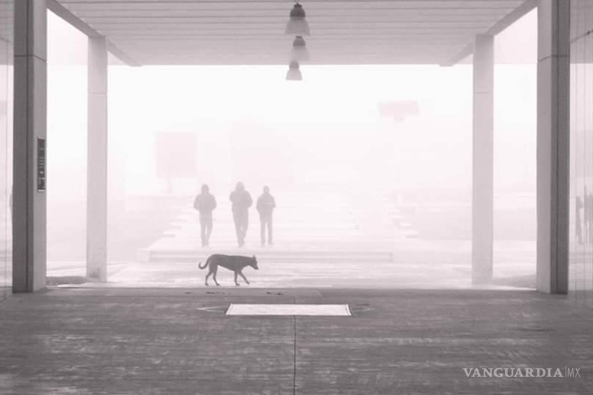 El principio de la ausencia