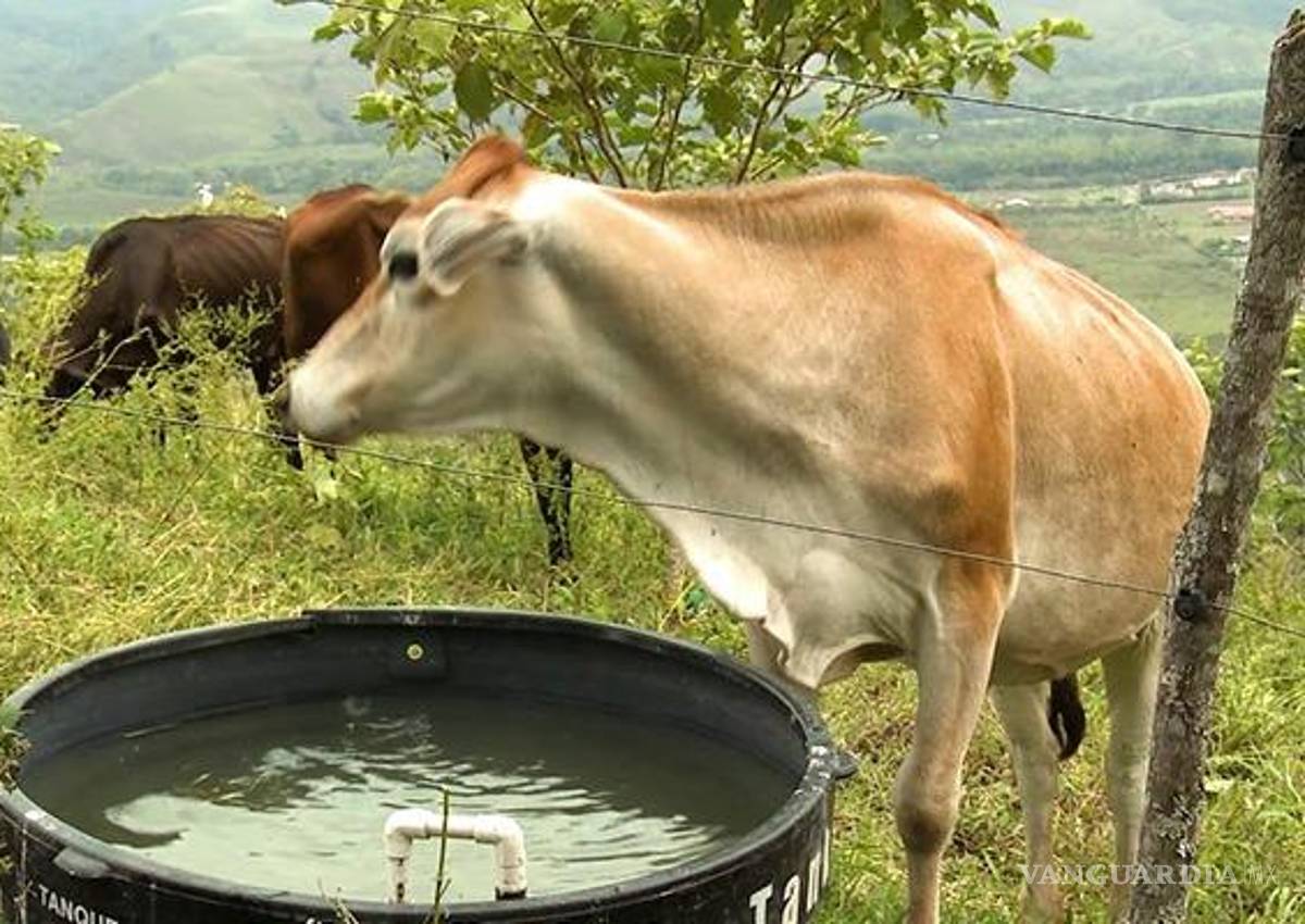 Lanzan millonaria inversión para ganaderos de Coahuila