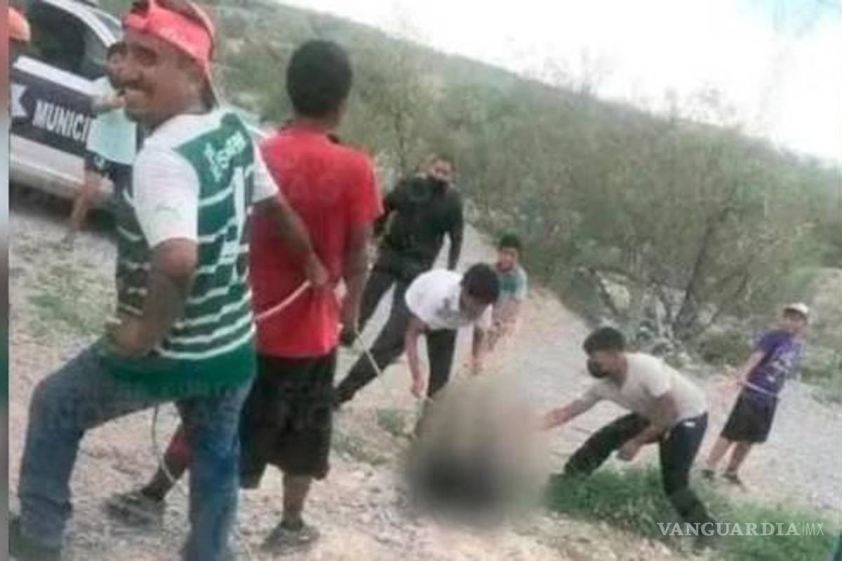 Coahuila: acabar con la vida de un osezno puede costar solo 5 mil pesos