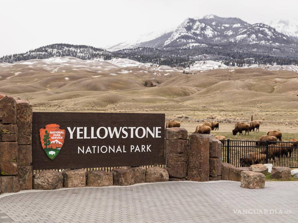 $!El Parque Nacional de Yellowstone está considerado como uno de los más bellos del mundo. EFE/National Park Service