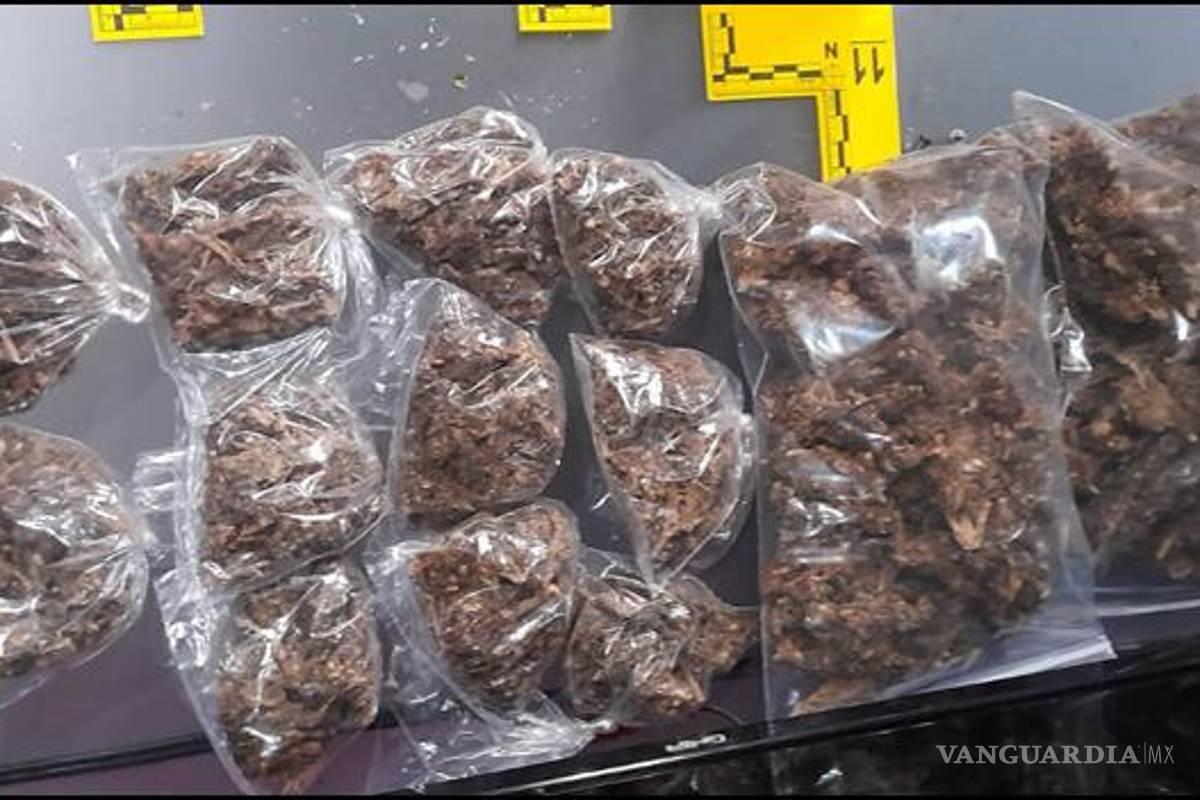 Catean viviendas en Nuevo León por delitos contra la salud y detienen a 9