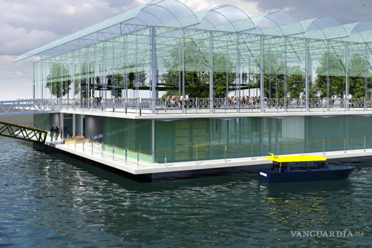 ¡Granjas que flotan!, abren las puertas a una producción agropecuaria sostenible