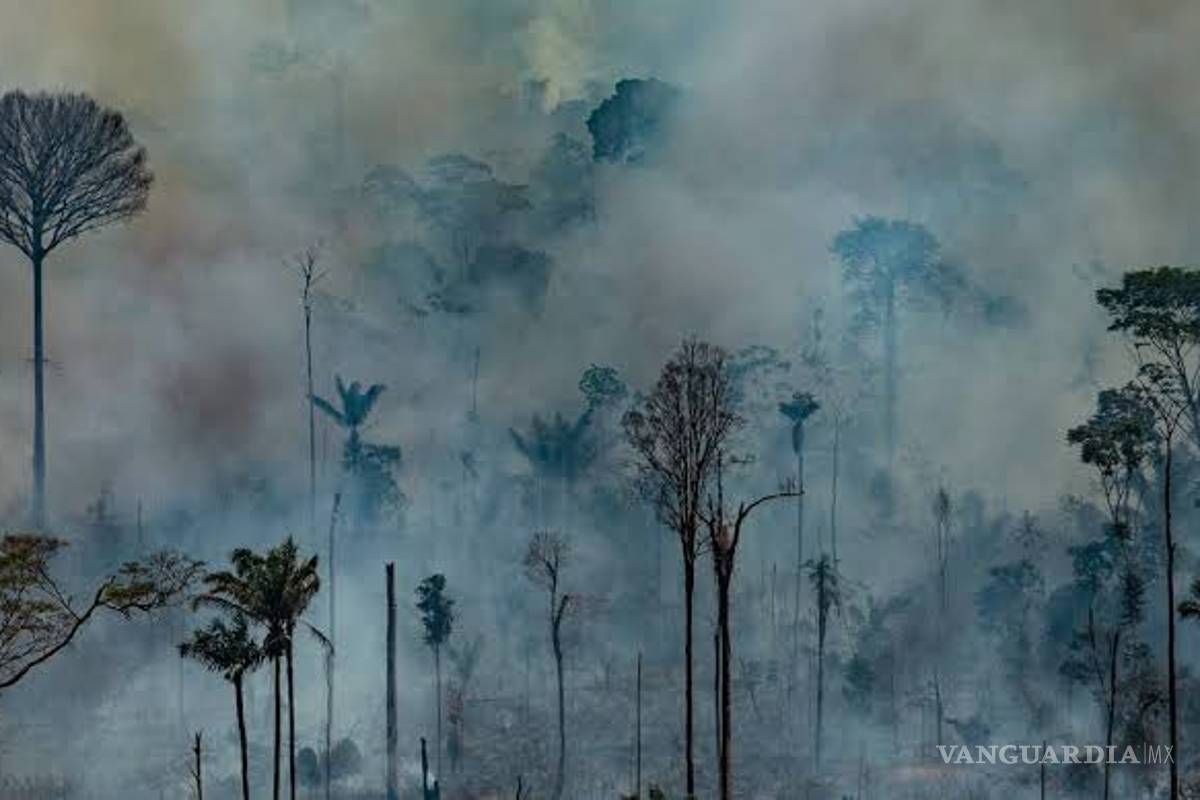 Humo de incendio en Amazonas se propaga a todo Brasil; desata problemas respiratorios