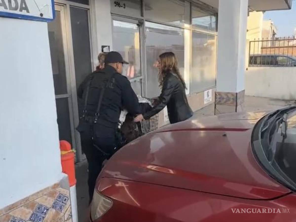 $!Bomberos y vecinos colaboraron en la evacuación de 8 perros, 1 gato y 2 tortugas, los cuales fueron rescatados con vida y asistidos para su recuperación tras el incendio.