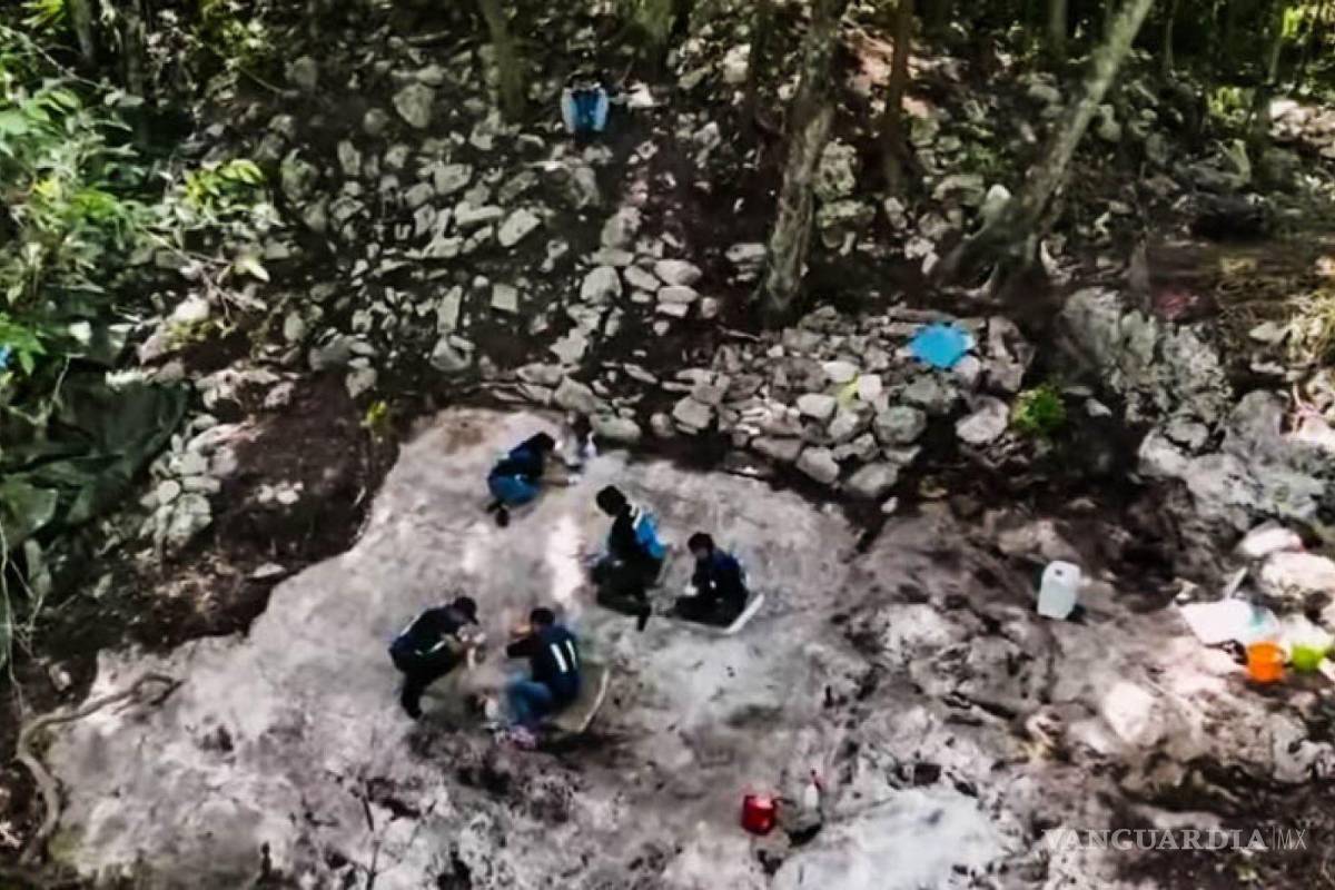 ‘Muchos de los daños son irreversibles’: organizaciones a dos años del Tren Maya