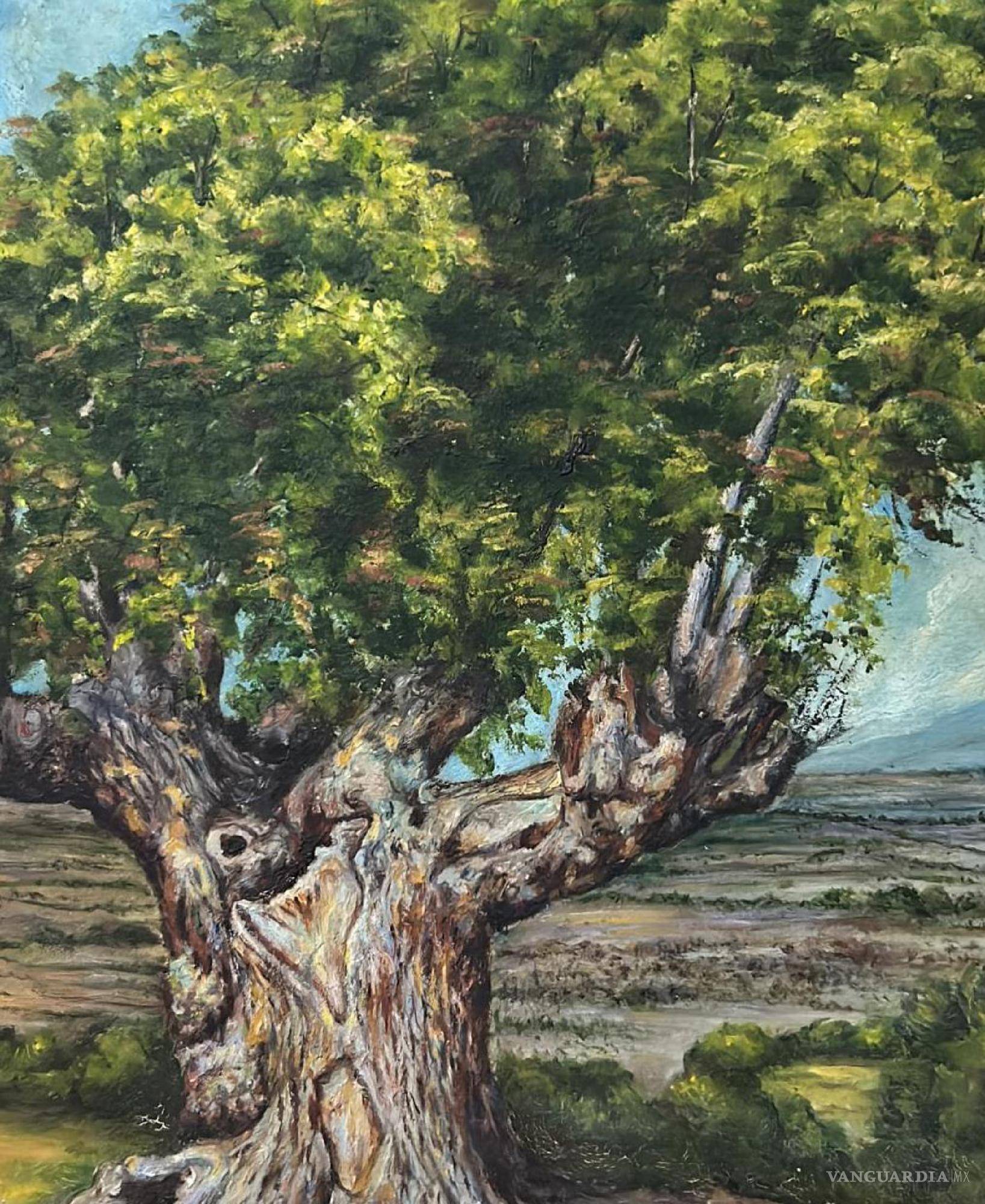 $!Árbol en casa de la familia De la Fuente Rumayor, Arteaga, Coahuila.