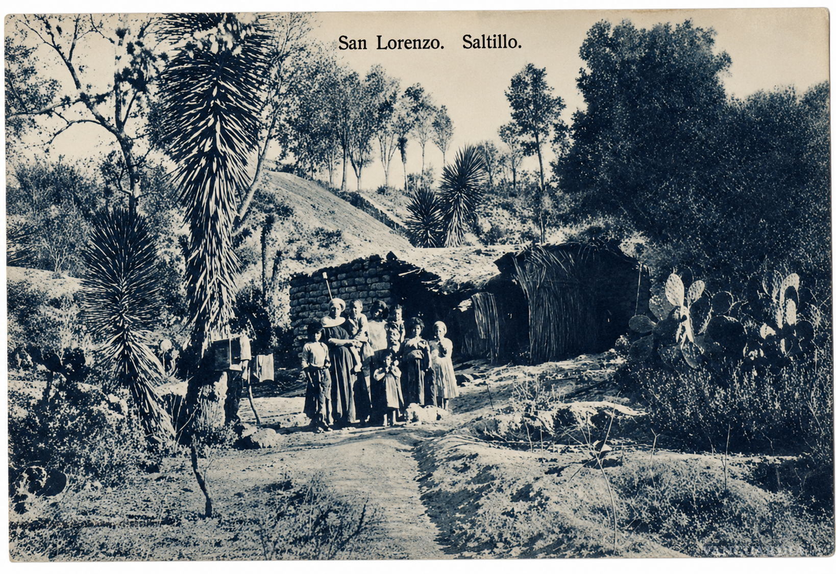 $!Ayuntamiento de Saltillo envenenó perros en 1929 y hubo quienes le “aplaudieron”