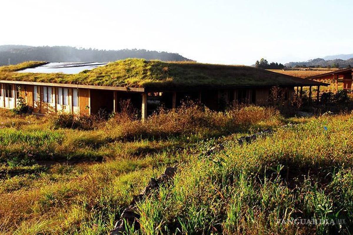 Construcción sostenible con Certificado EDGE: Hacia un futuro eco-amigable