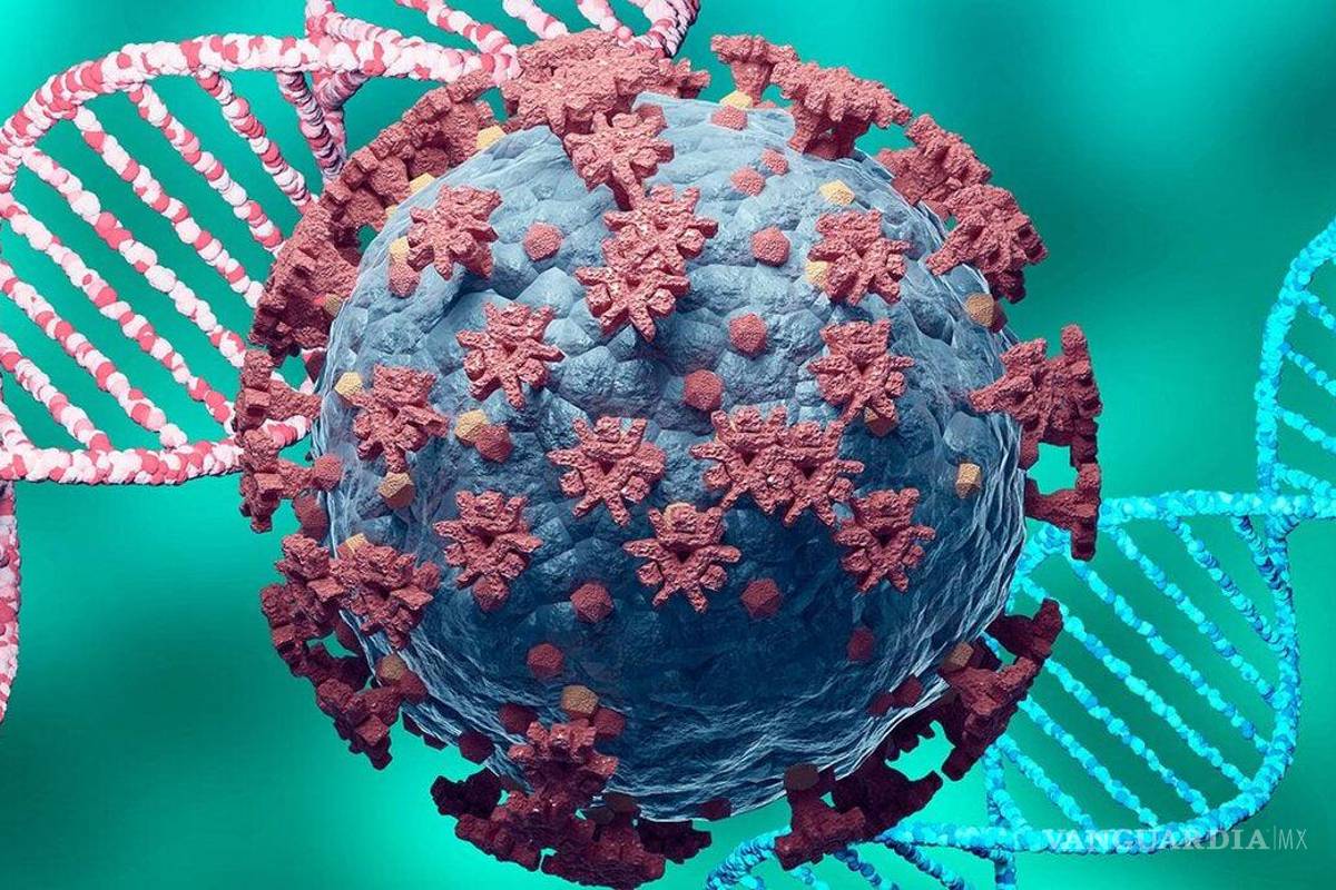 Alcanza 52.9% el exceso de mortalidad, reporta el Inegi